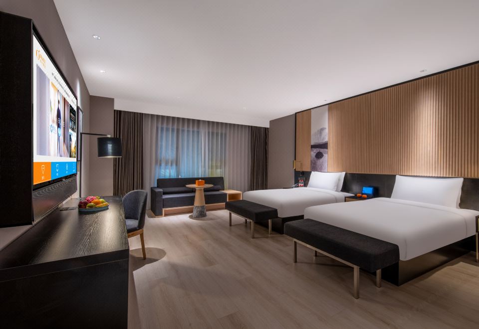 禅音内景双床房