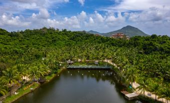 Small overseas Chinese coconut forest secret tent camp