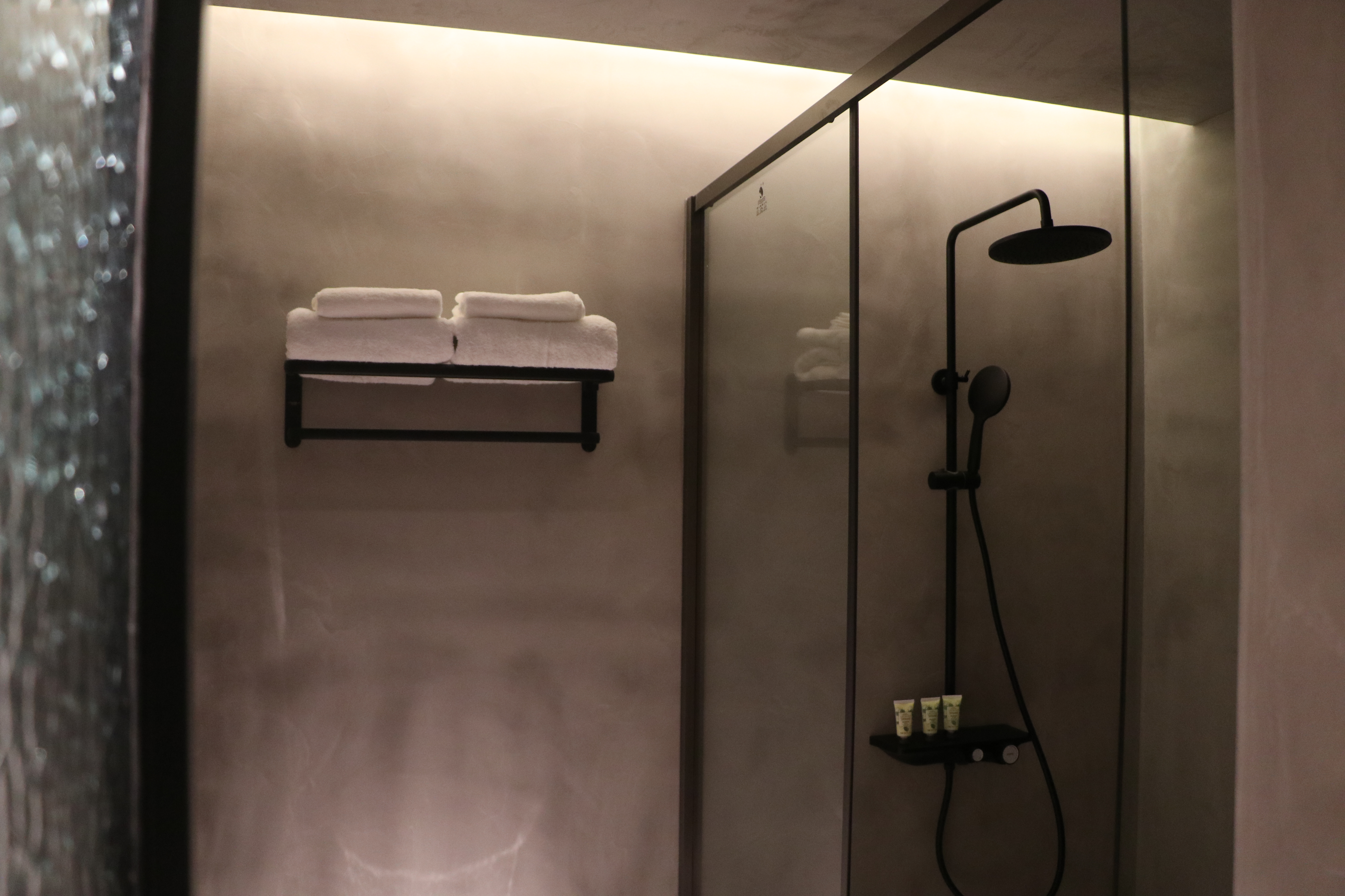 露台花园双床房（手机控制开门+智能音响+单门冰箱+智能马桶）