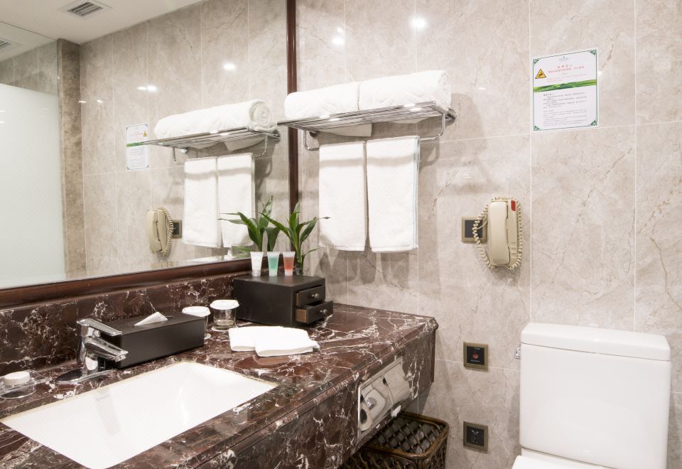 Pine City Hotel ShanghaiDeluxe Twin With View Room