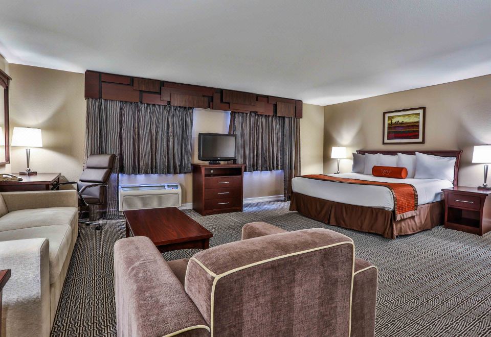 豪华行政特大床套房