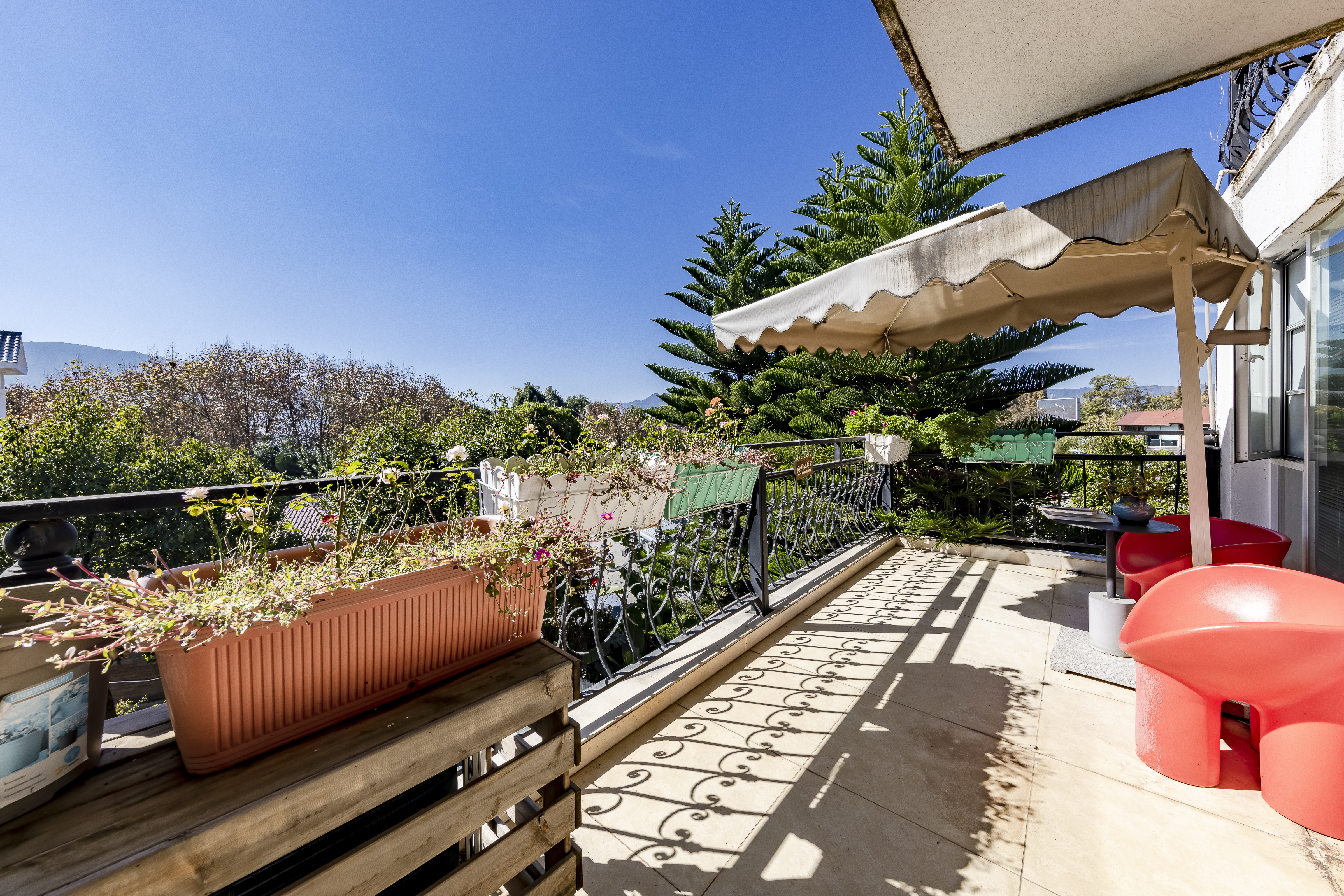 仙境·私享双床房（花园露台|全景玻璃）