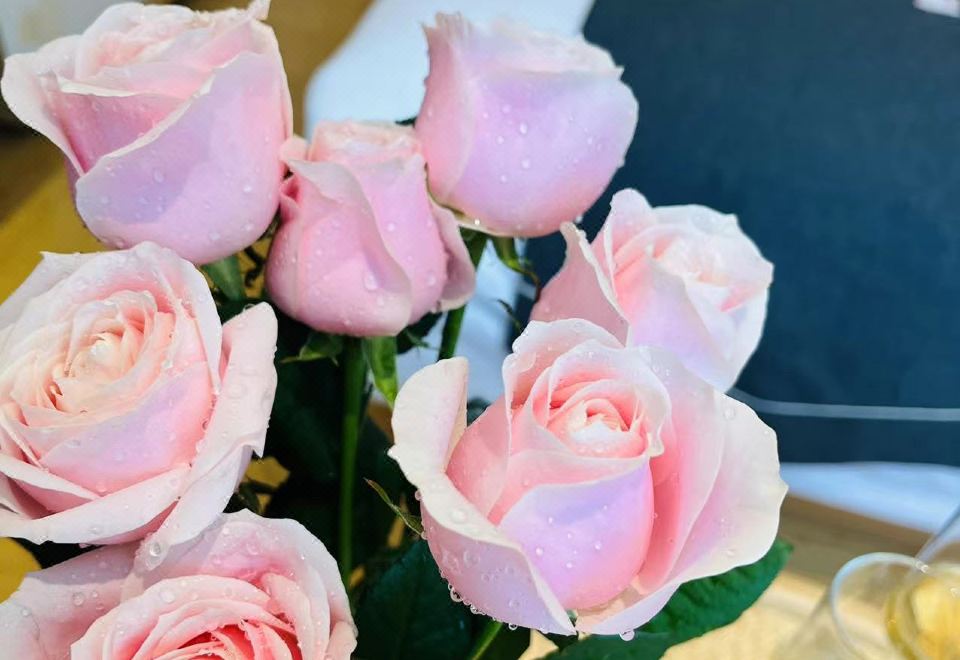 凌霜居雙床房·新中式風溫暖雅居+投屏電視+智能客控