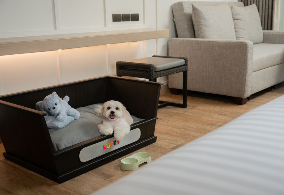 Hyatt Regency Hua Hin2 Twin Beds Pet Friendly Deluxe