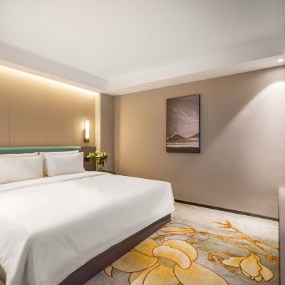 雅緻大床房（裸棉+普蘭特床墊） 綿陽高新亞朵X飯店優惠