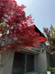 Yingying Mountain House B&B Hotele w: 