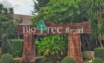 Big Tree Resort