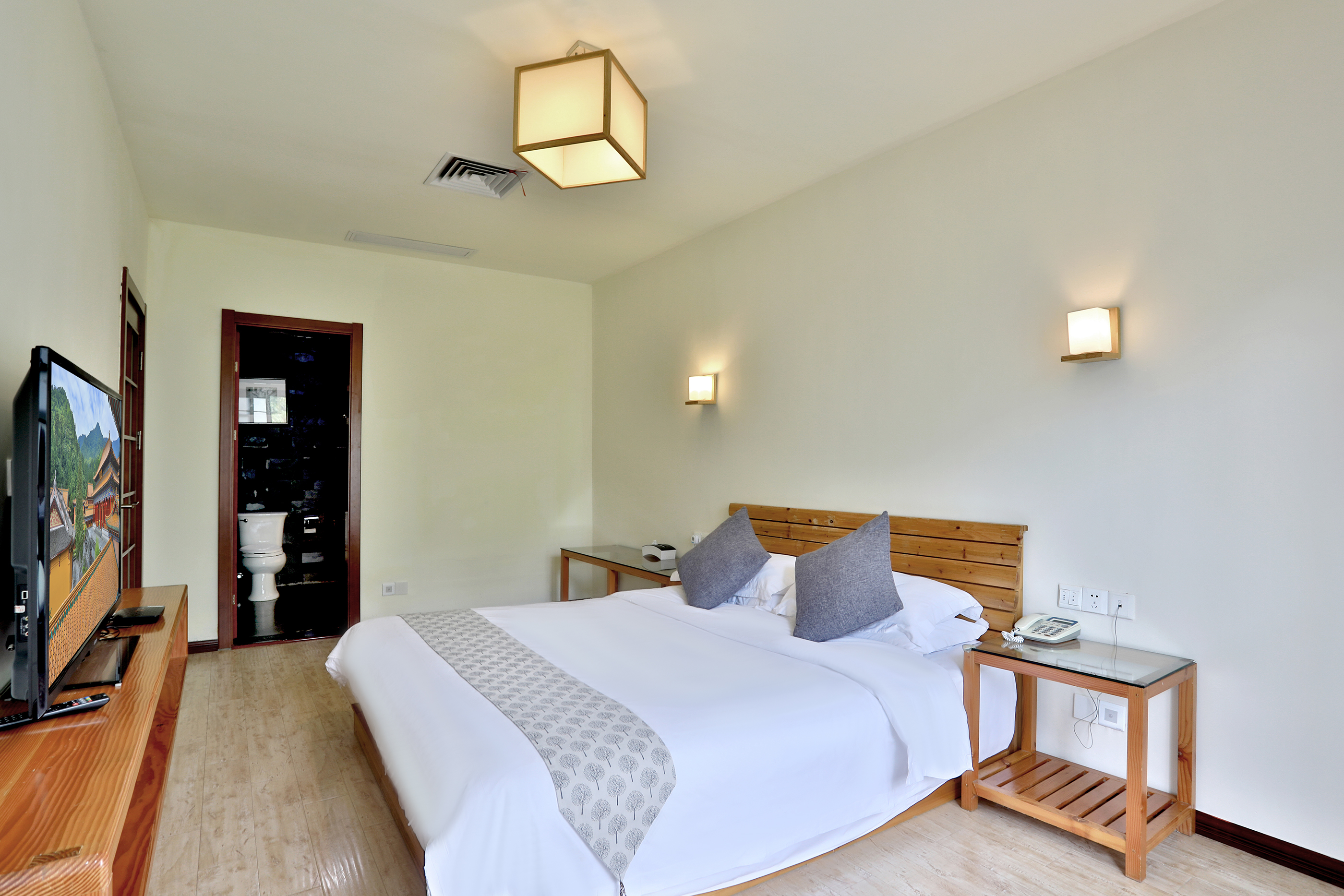 禅音套房（浴缸+茶台）