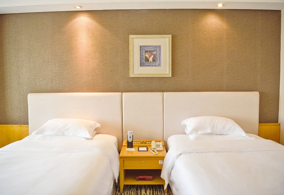 商务贵宾双床房