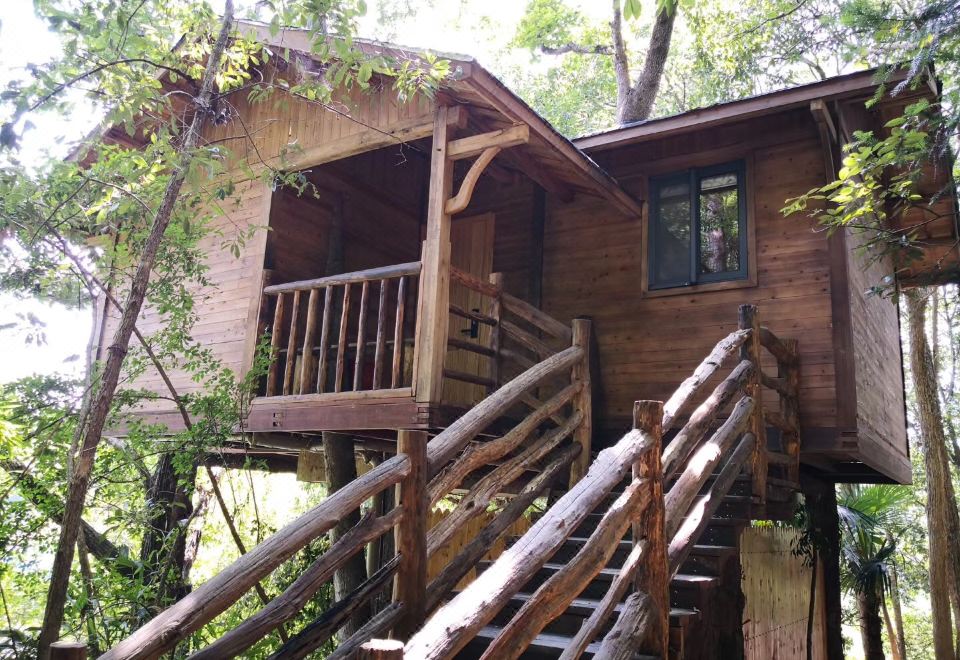 Qiandaohu Xinbo Holiday HotelWild Stay Tree House Twin Room