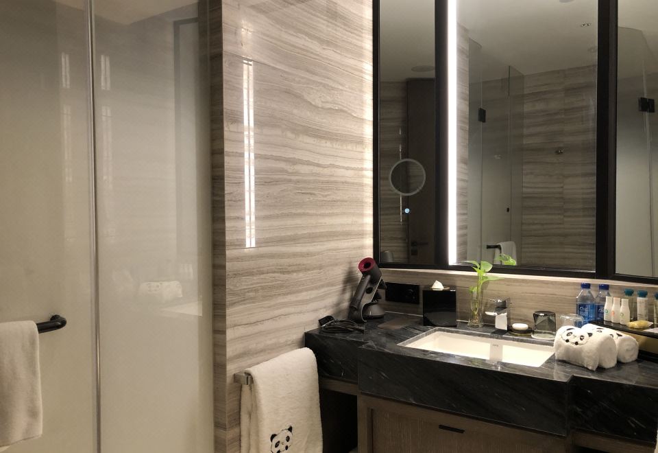 单卧套房 1张超大床和1张双层床 小童主题