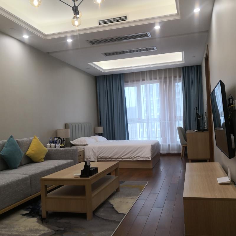 一房高级套房