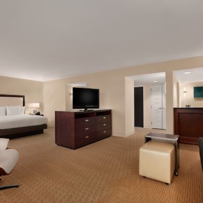 Mobility Accessible Junior King Suite with Tub Hilton Miami Airport Blue Lagoon Promo Code