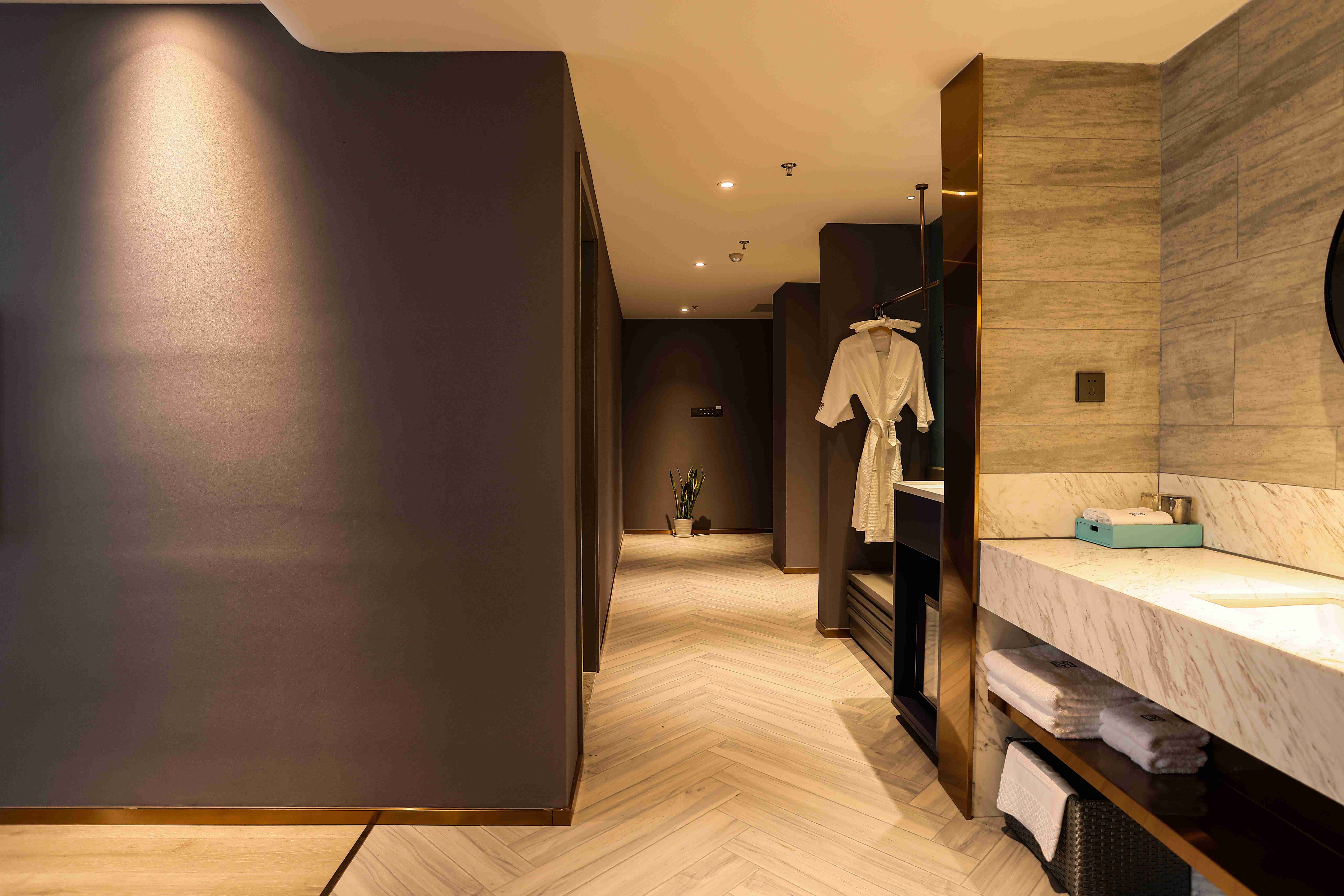 兰大师设计套房（全屋智能语音+小冰箱+独立卧室客厅）