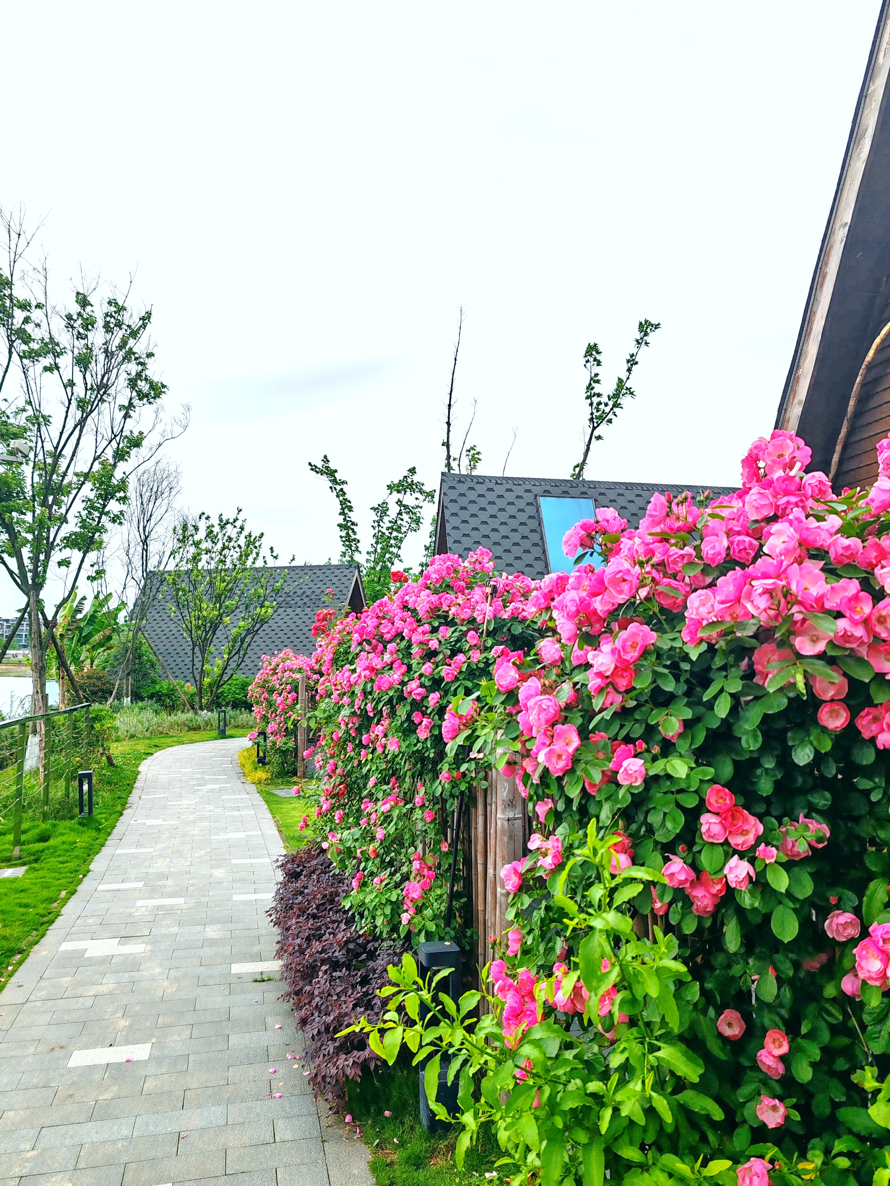 云海·360°湖景舒雅大床房「湖景陽臺浴缸·湖景花園」