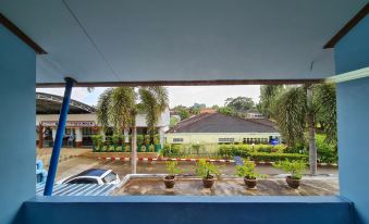 a view from a window shows a parking lot and palm trees in front of a house at Phu nga Hotel