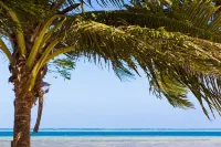 Funky Fish Beach & Surf Resort Отели в г. 