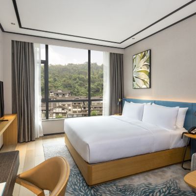 花園城景大床房 貴州茅台鎮聯裕希爾頓花園酒店優惠