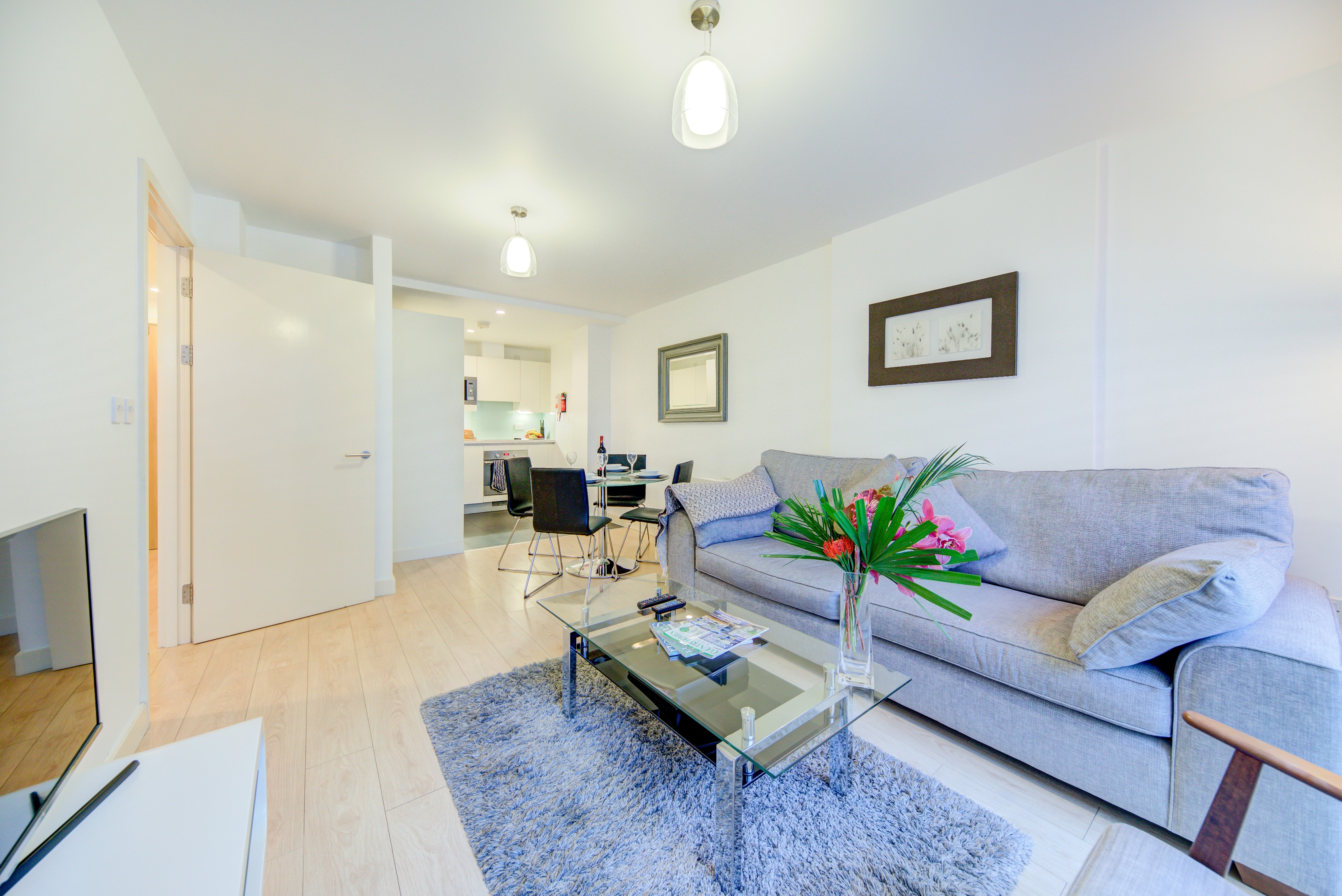 豪华两卧室公寓