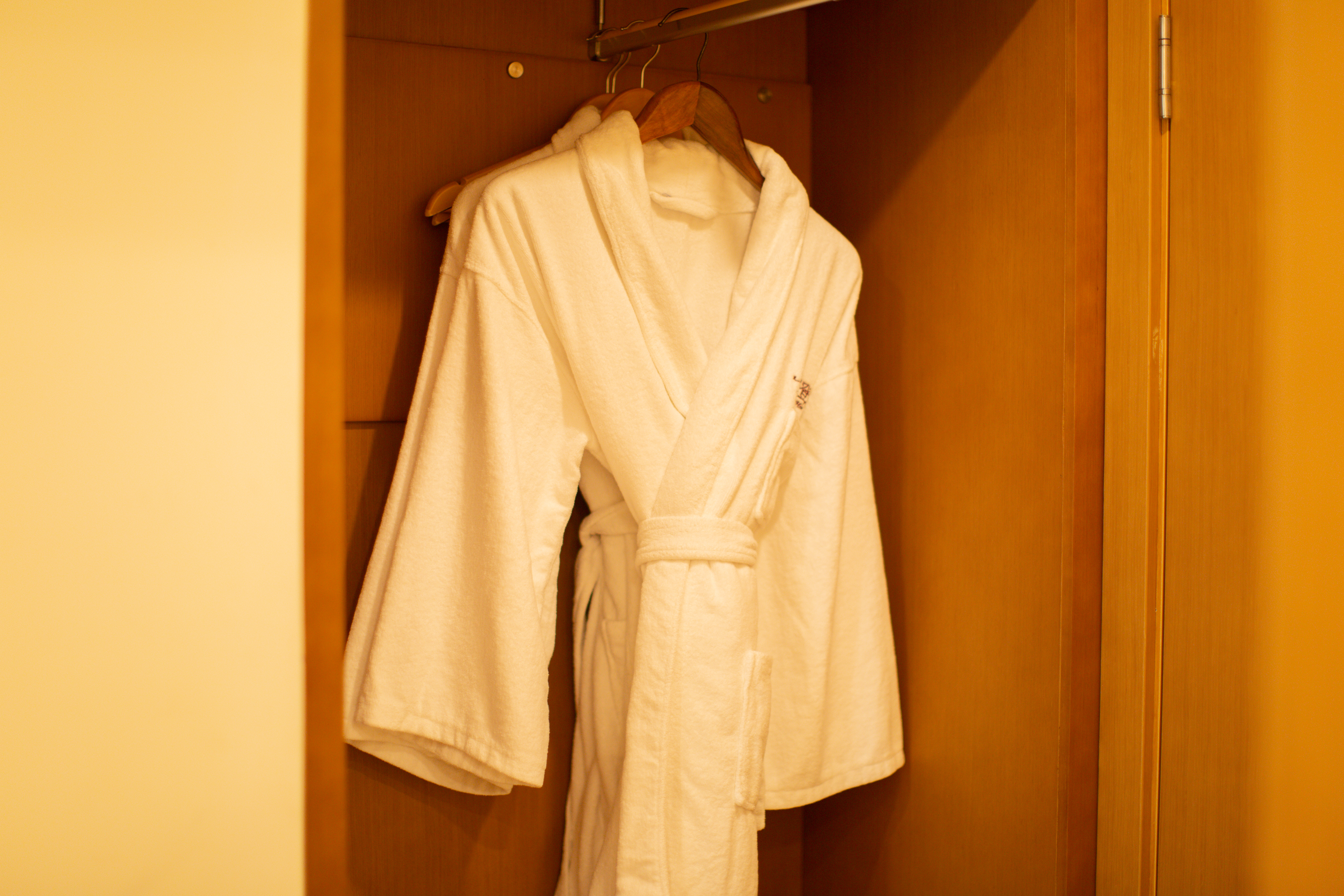 Badeng Hot Spring Hotel Deluxe Room