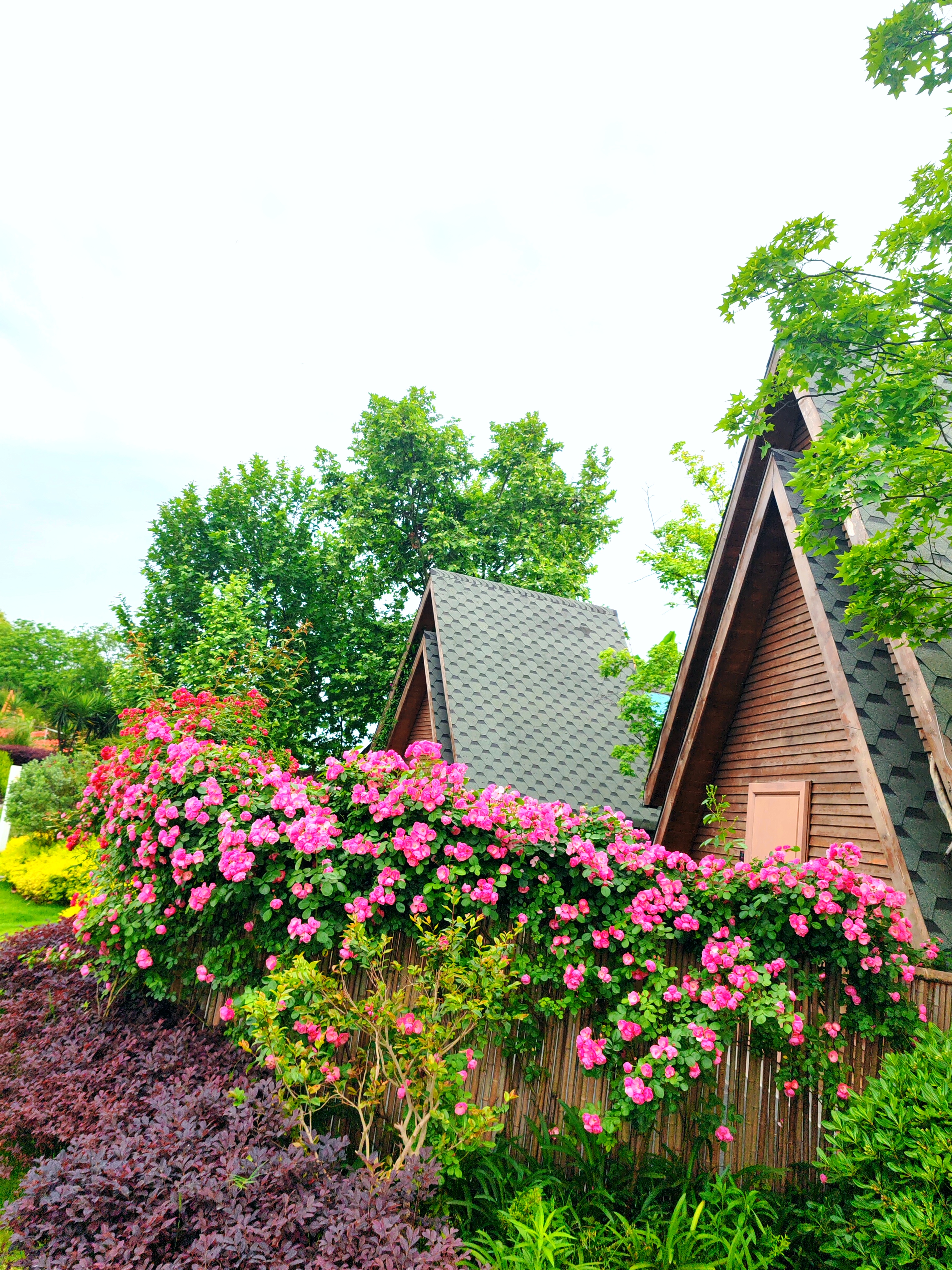 Yunfuli Yunsu Dayi Xihu Yundao云海·360°湖景舒雅大床房「湖景阳台浴缸·湖景花园」