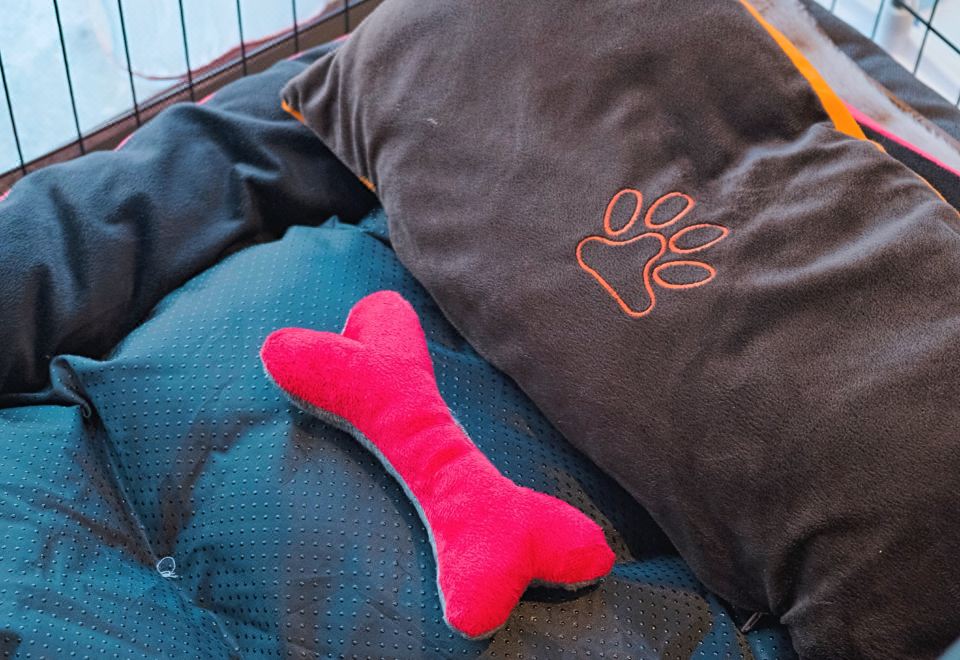 宠物乐享大床房（超大圆形浴缸）