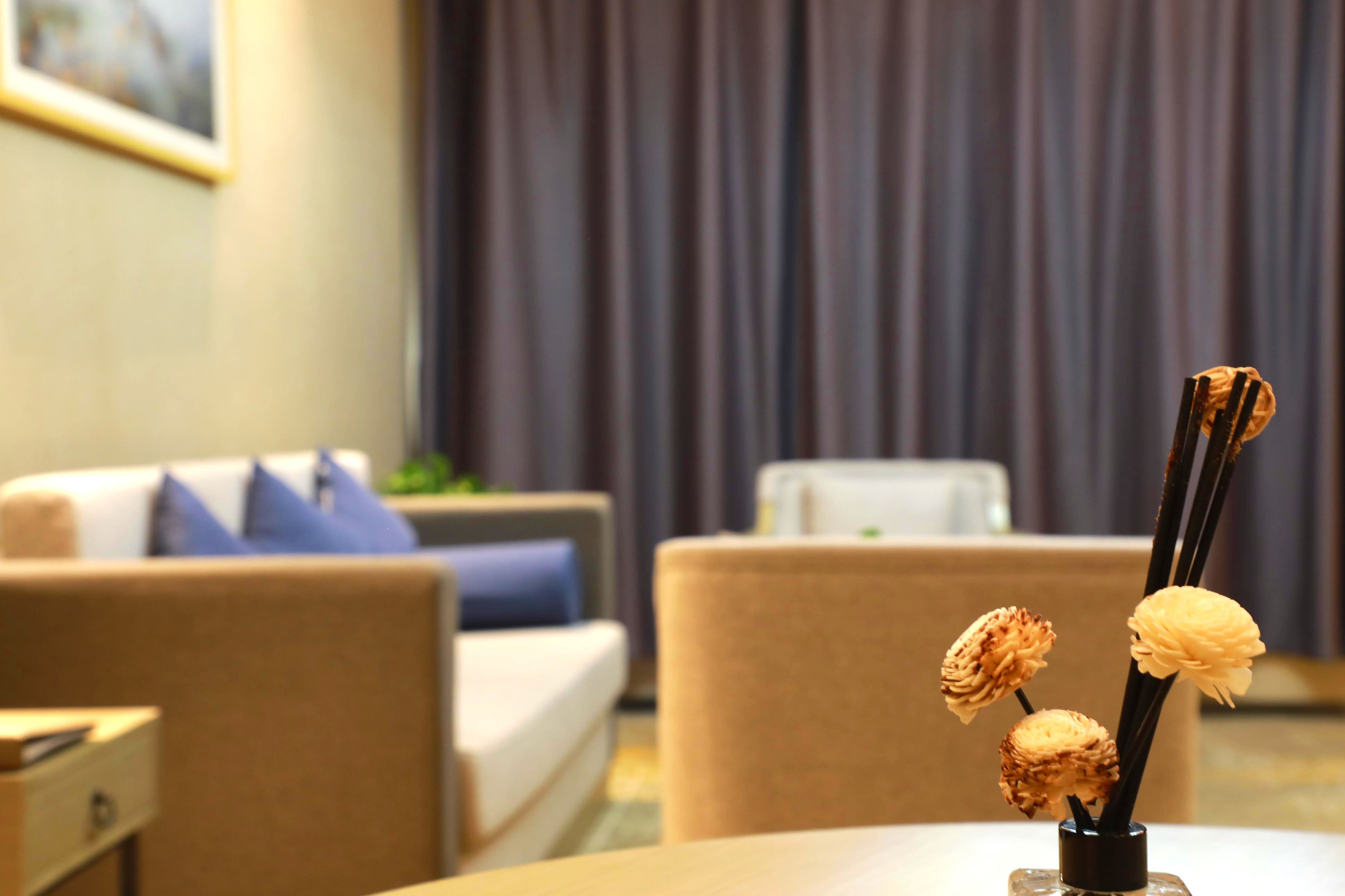 豪华主题花浴套房