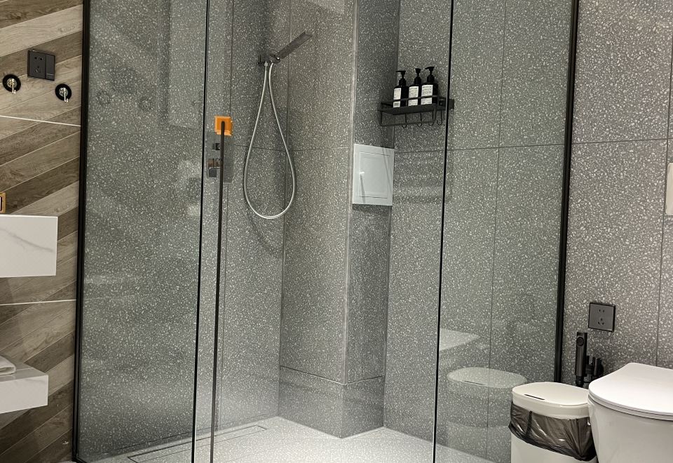 Twin Room-Free Will Series