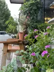 Songshanju Boutique Hostel Hotels in 