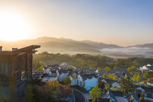 Banyan Tree Huangshan