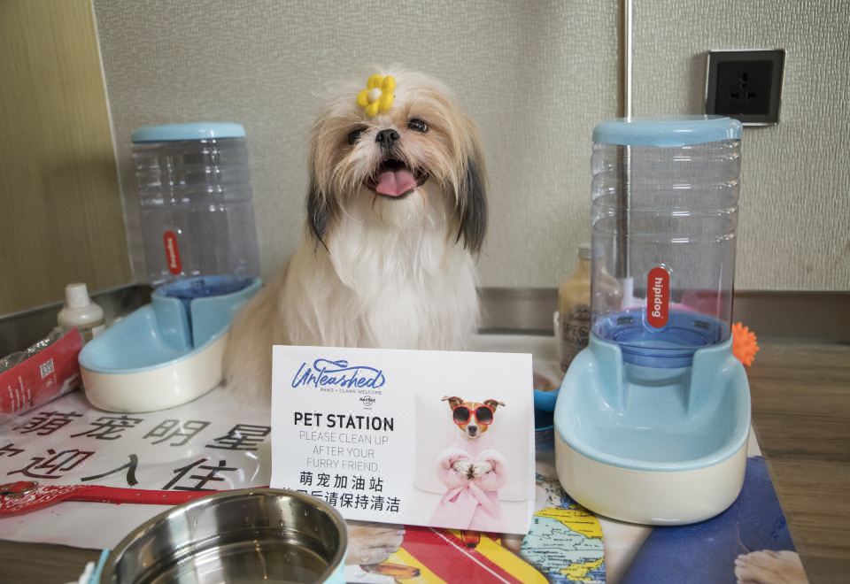 宠物乐享双床房