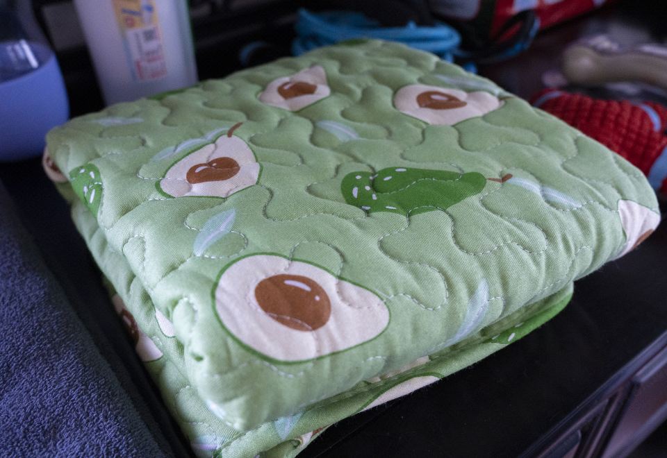 海景家庭三室寵物套房