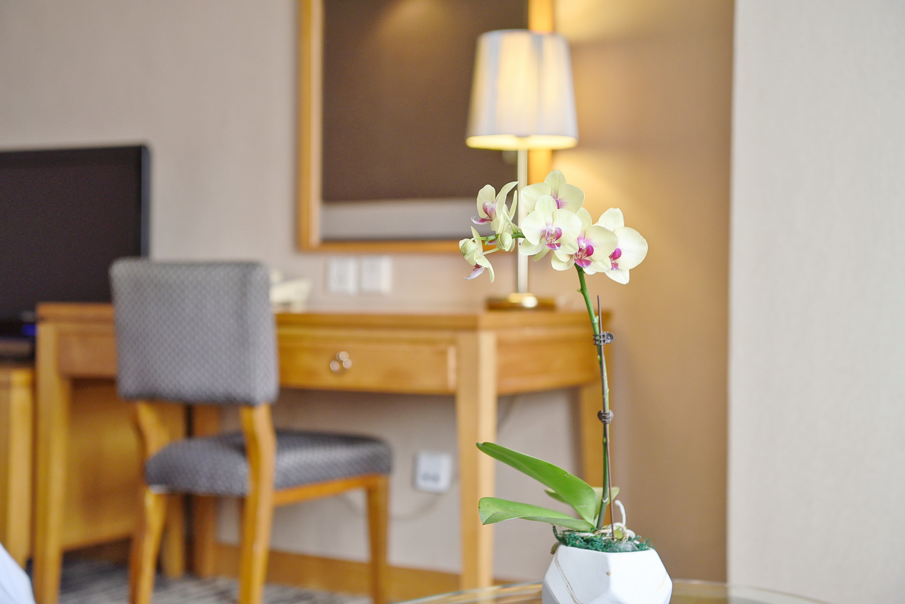 商务贵宾双床房