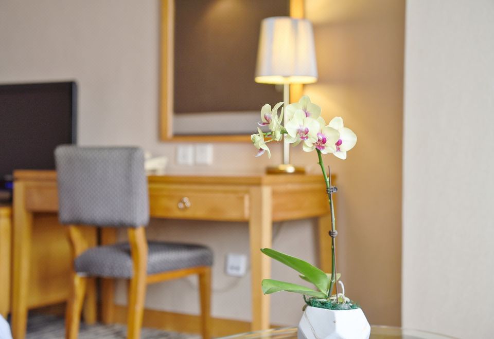 商务贵宾双床房