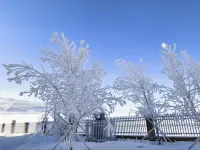 サリム湖水雲杉鉑驪ホテル（新遊客中心）
