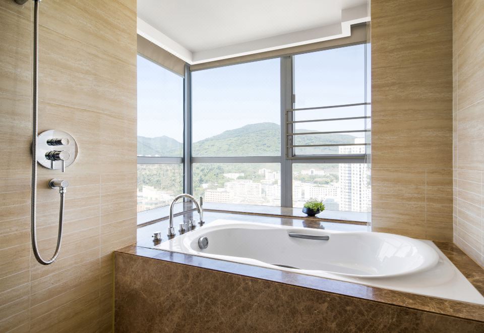 豪華商務套房（一房一廳）