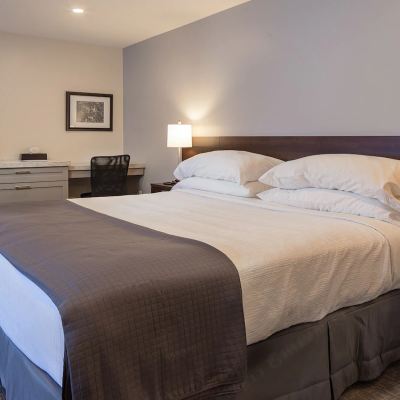 Executive King Room Picton Harbour Inn Promo Code