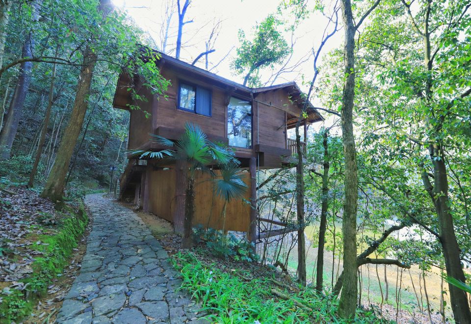 Qiandaohu Xinbo Holiday HotelWild Stay Tree House Double Bed Room