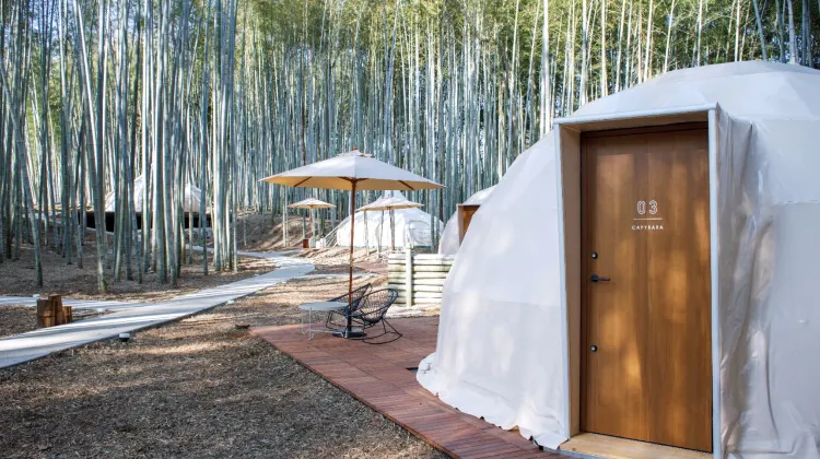 サユリワールド ザ・バンブーフォレスト 外観