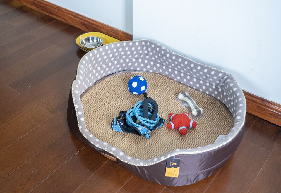 海景家庭三室寵物套房