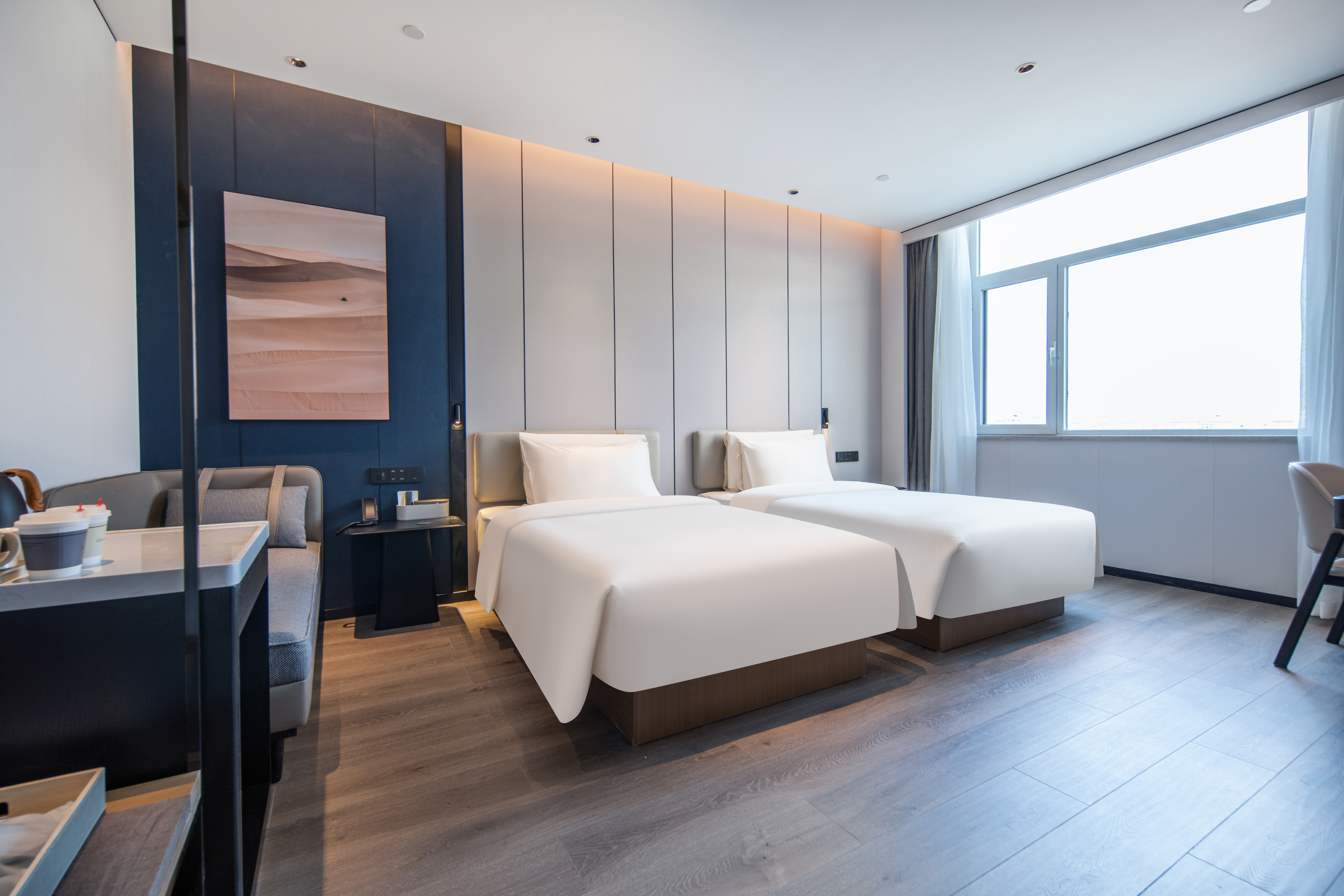 高级双床房（55寸投屏电视+迷你冰箱）