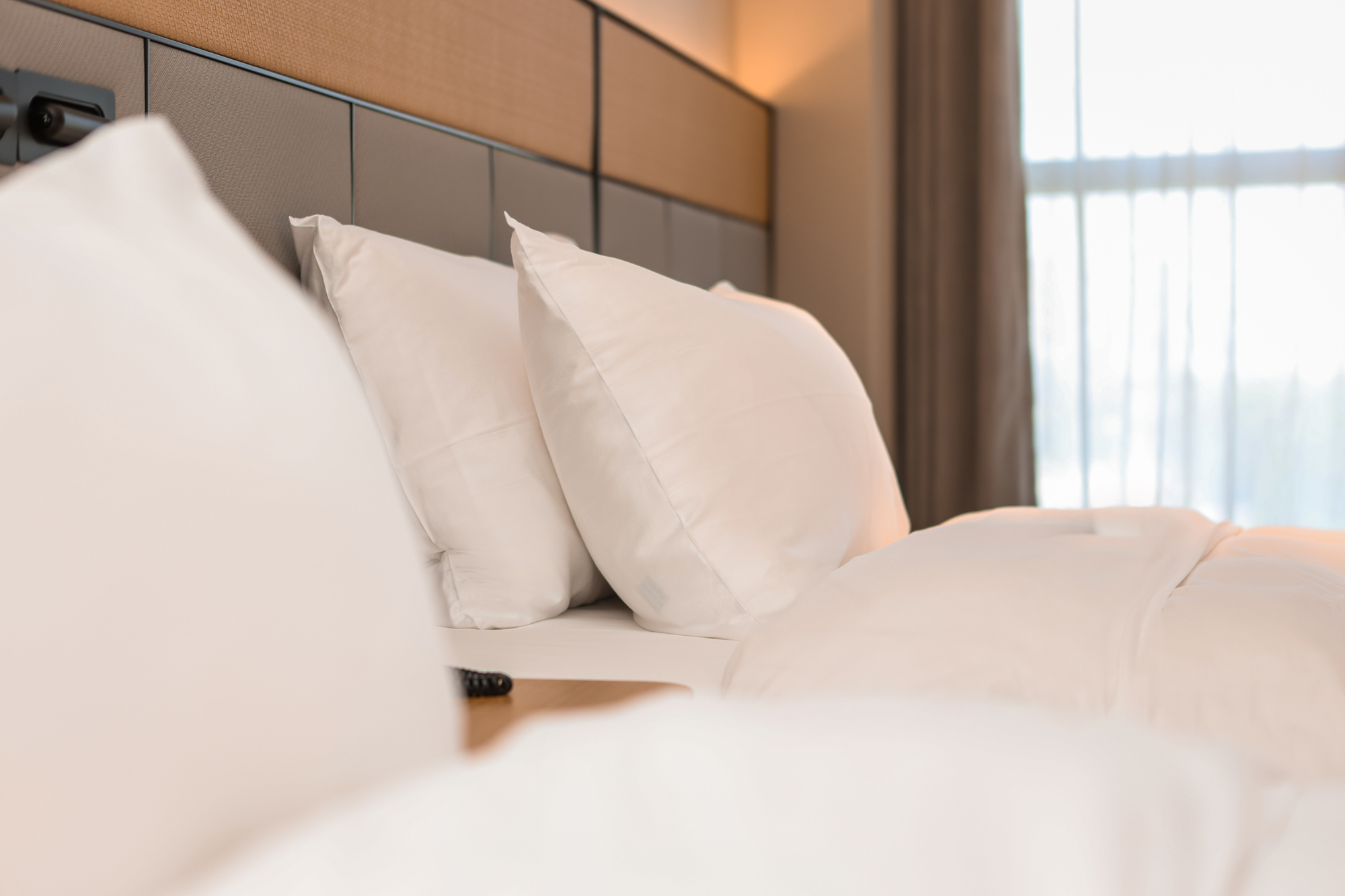 双床房（小冰箱、智能马桶、智能投屏）