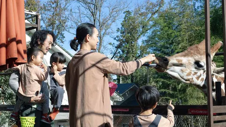 サユリワールド ザ・バンブーフォレスト 施設