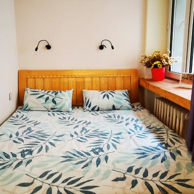 迷你大床房（獨立衛浴） 稻香國際青年旅舍（哈爾濱中央大街店）優惠