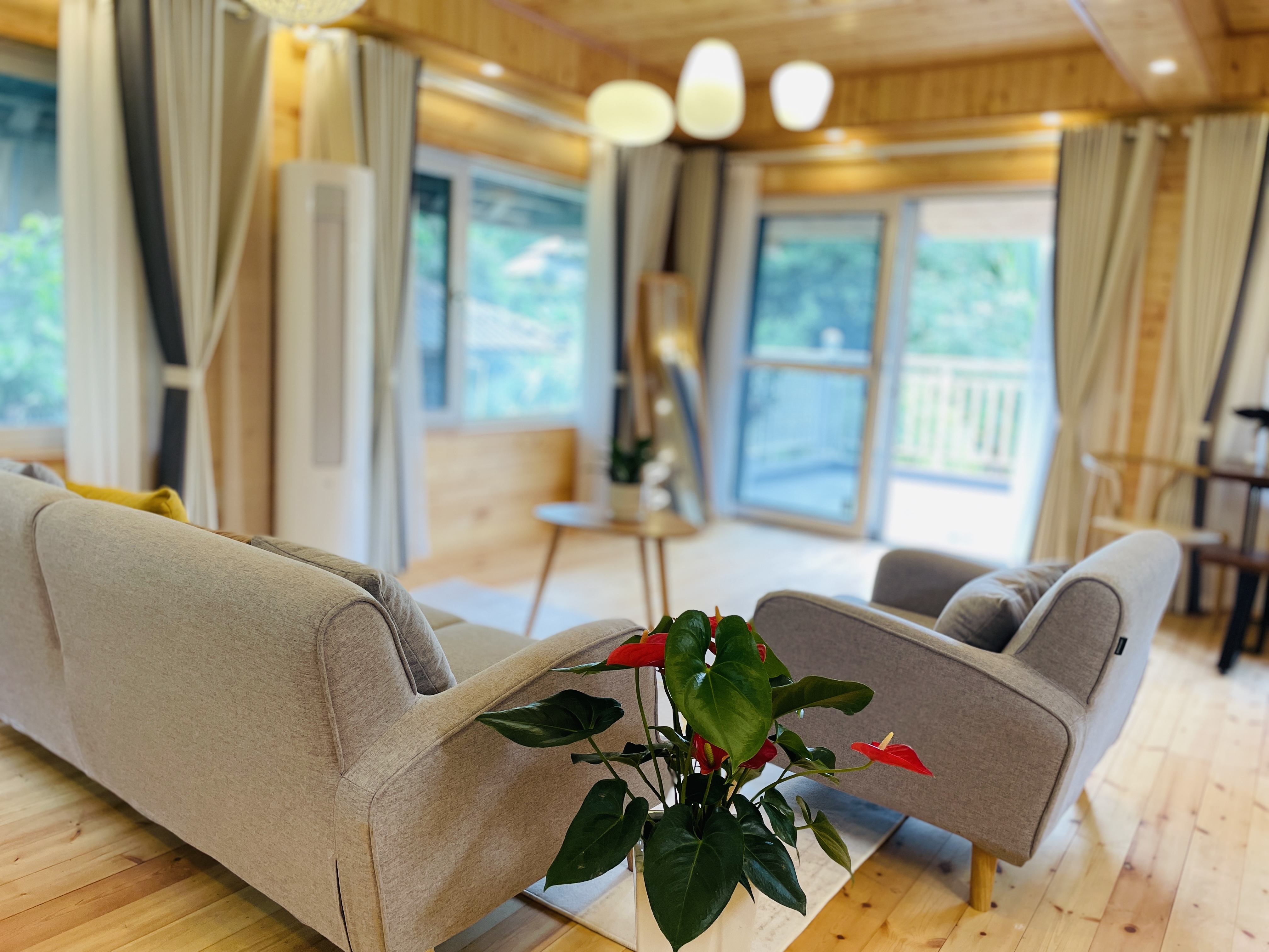 观景露台套房（客厅+厨房）