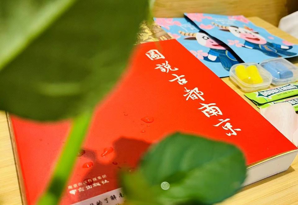 清莲居亲子房·新中式风温暖雅居+投屏电视