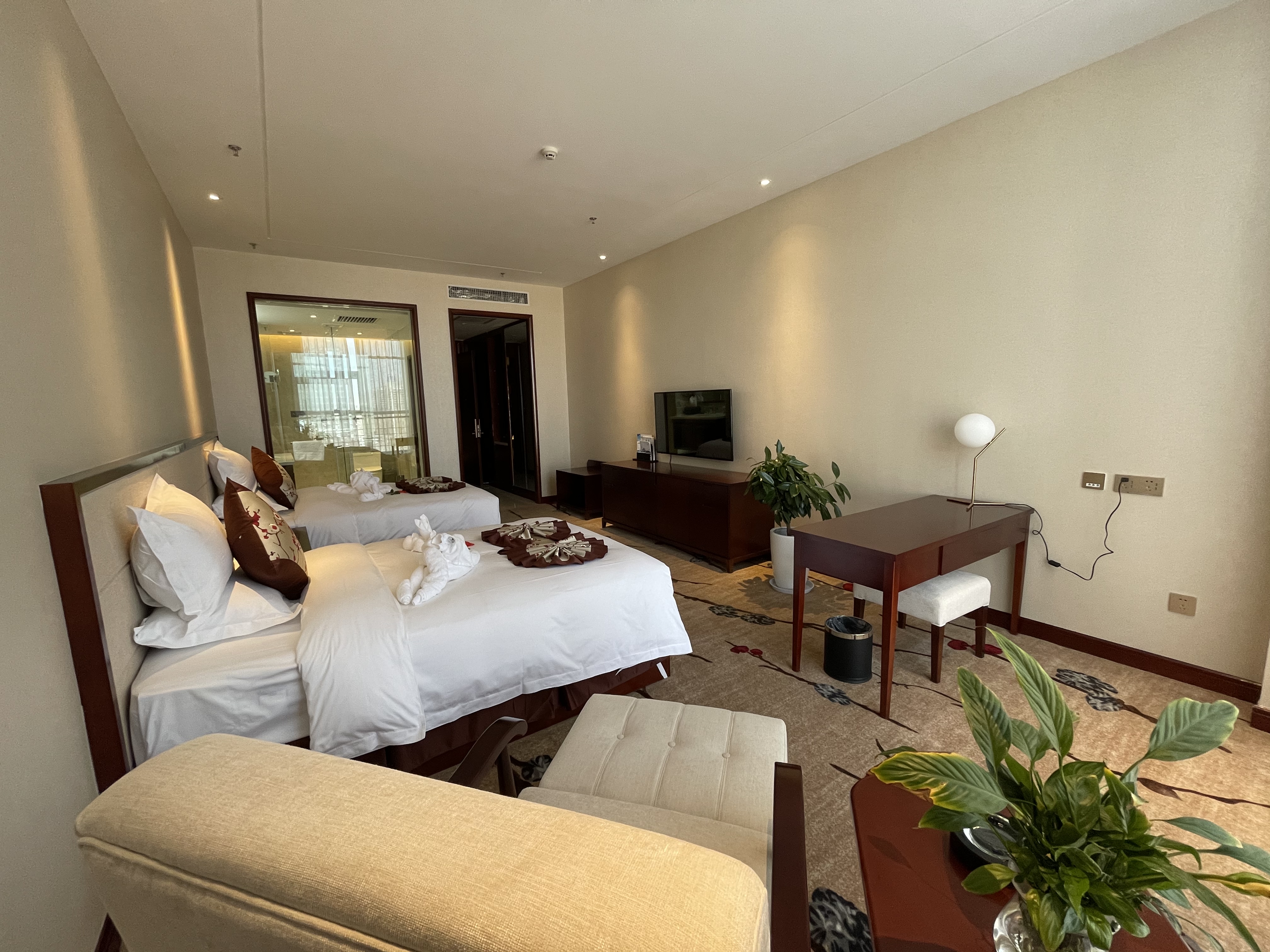 行政轻享双床房