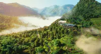 Yue Shan Tea Estate