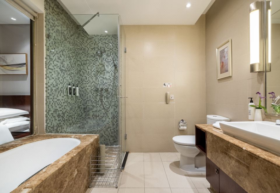 Dingye New Century Hotel NanjingDeluxe Room (2 Beds)