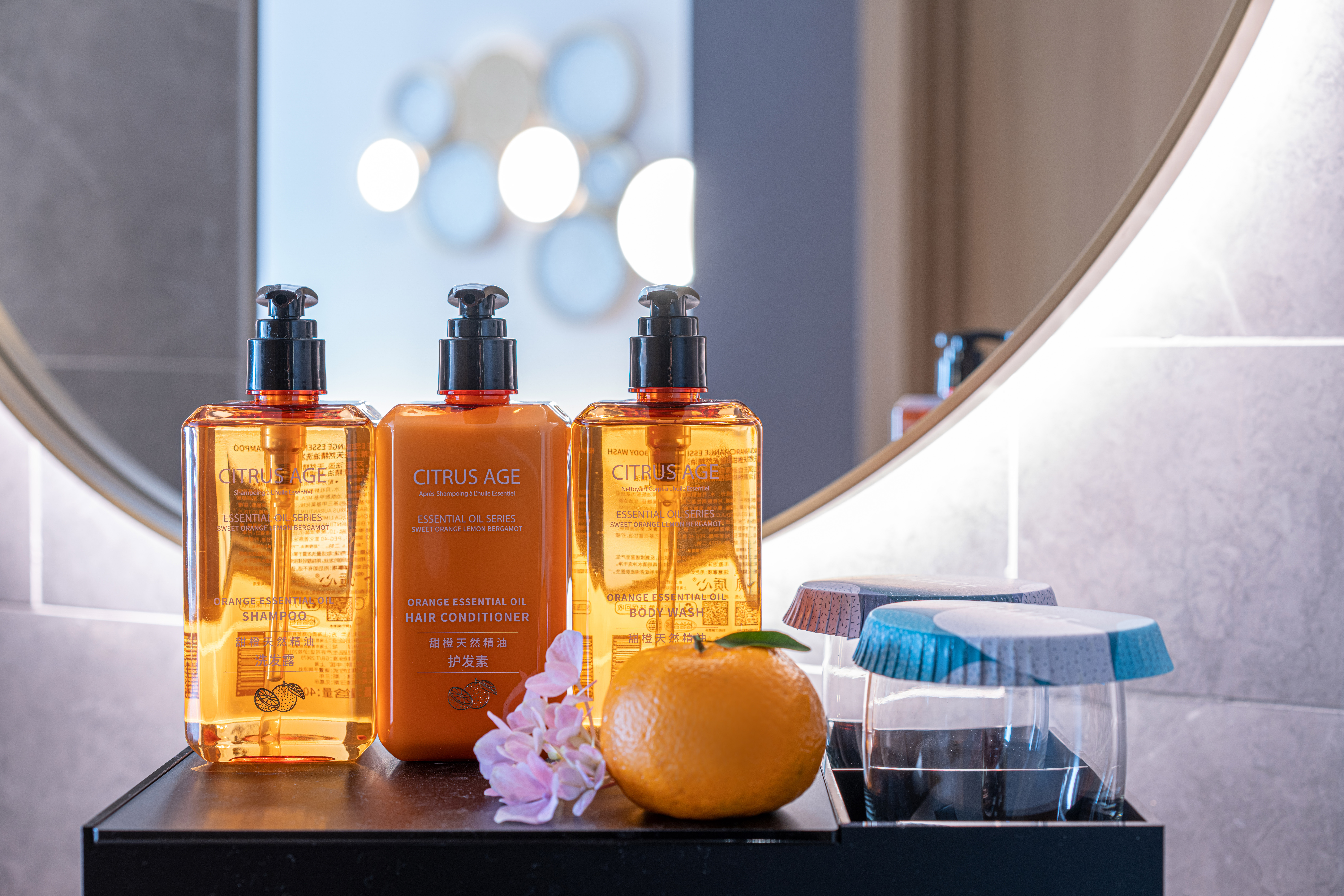 月若流金双床房（电视投屏+小冰箱+恒温马桶）